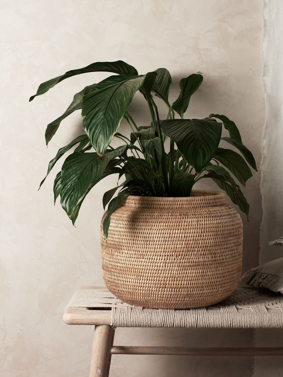 Maldon Rattan Planter