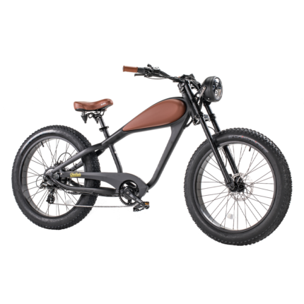  Revi Bikes Cheetah 48V 750W Hub Motor Fat Tire Electric Cruiser Bike